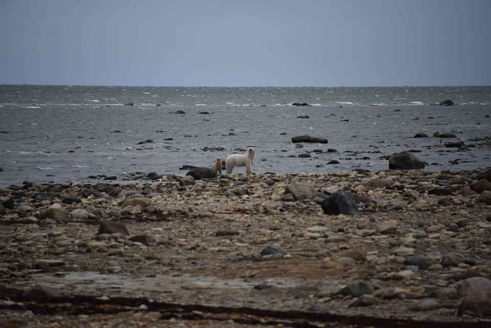 Churchill Manitoba Oct 2023 19